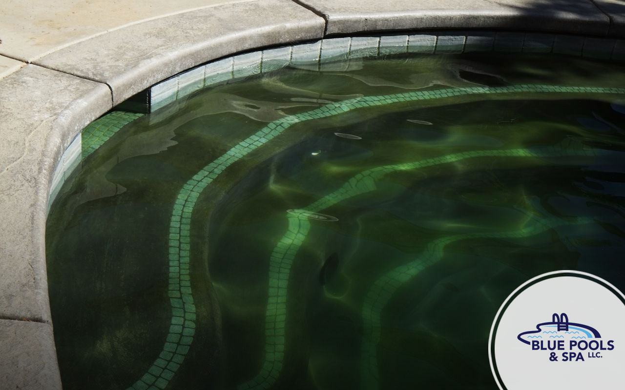 There are several effective techniques for getting rid of algae growth on pool walls, including: Brushing the Walls, Shock Treatment, Algaecides, Chlorine Tablets